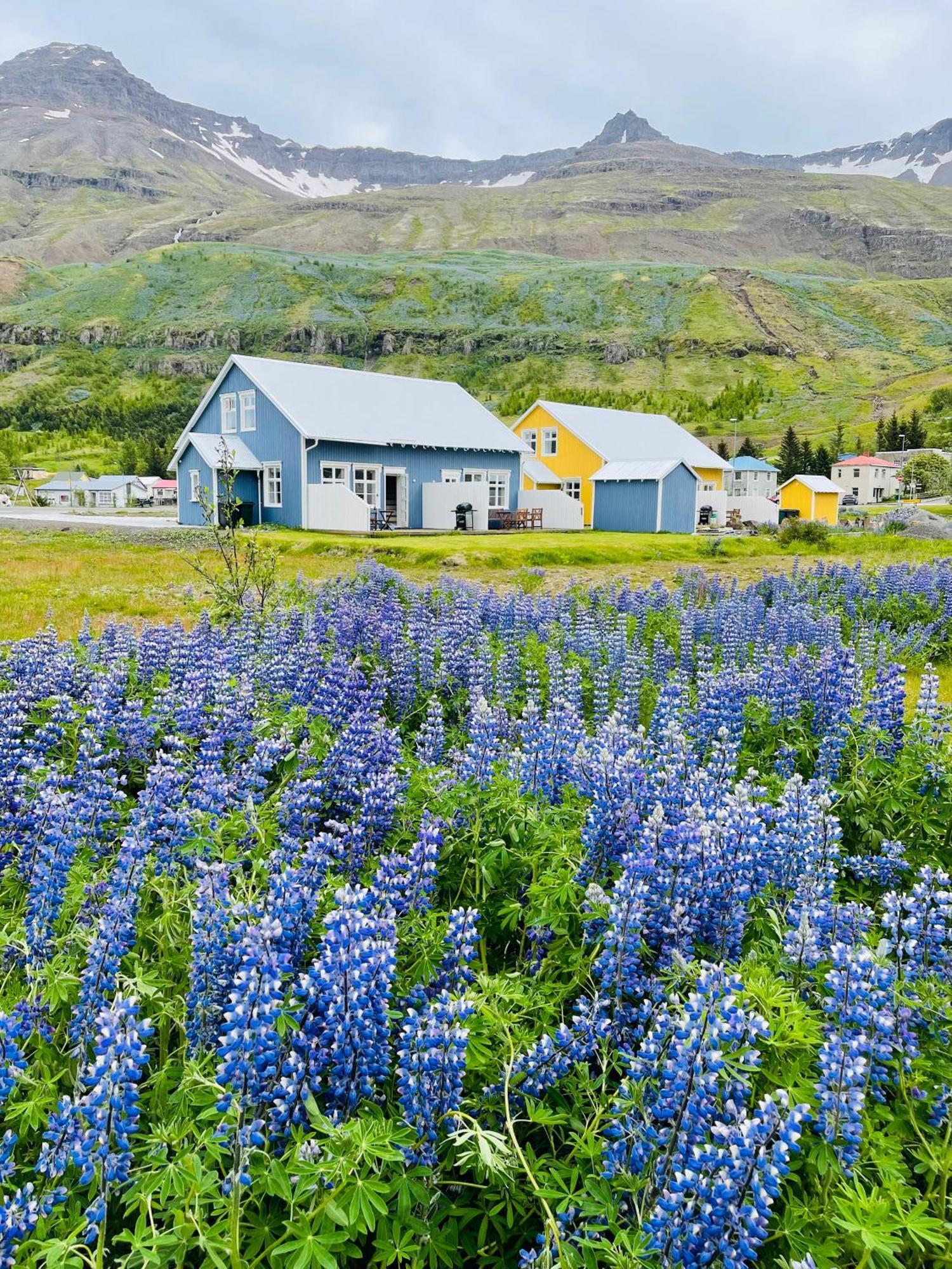 Lonsleira Apartments Seyðisfjörður Extérieur photo