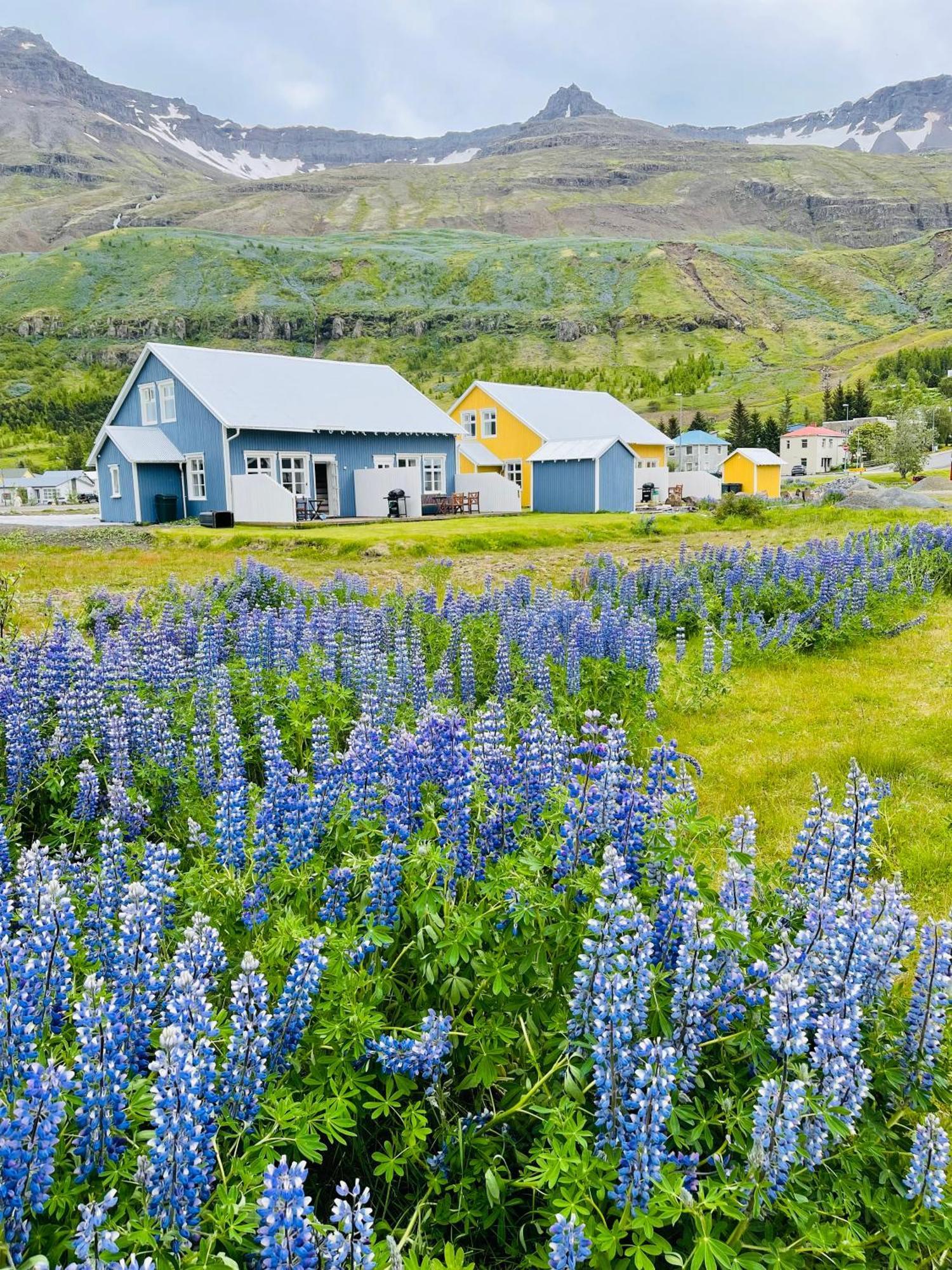 Lonsleira Apartments Seyðisfjörður Extérieur photo